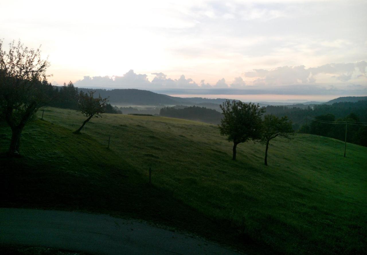 Urlaub An Der Grenze Apartment เลาเทอร์บาค ภายนอก รูปภาพ